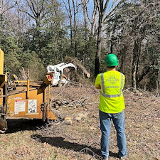 Removal-of-Storm-Damaged-Fallen-Trees-in-Denton-MD 3